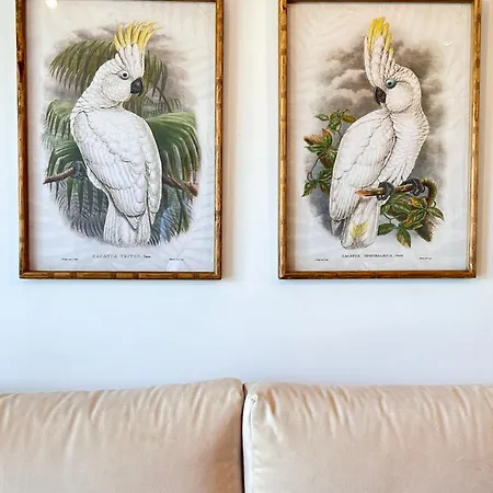 شقة Veranoazul نيرخا